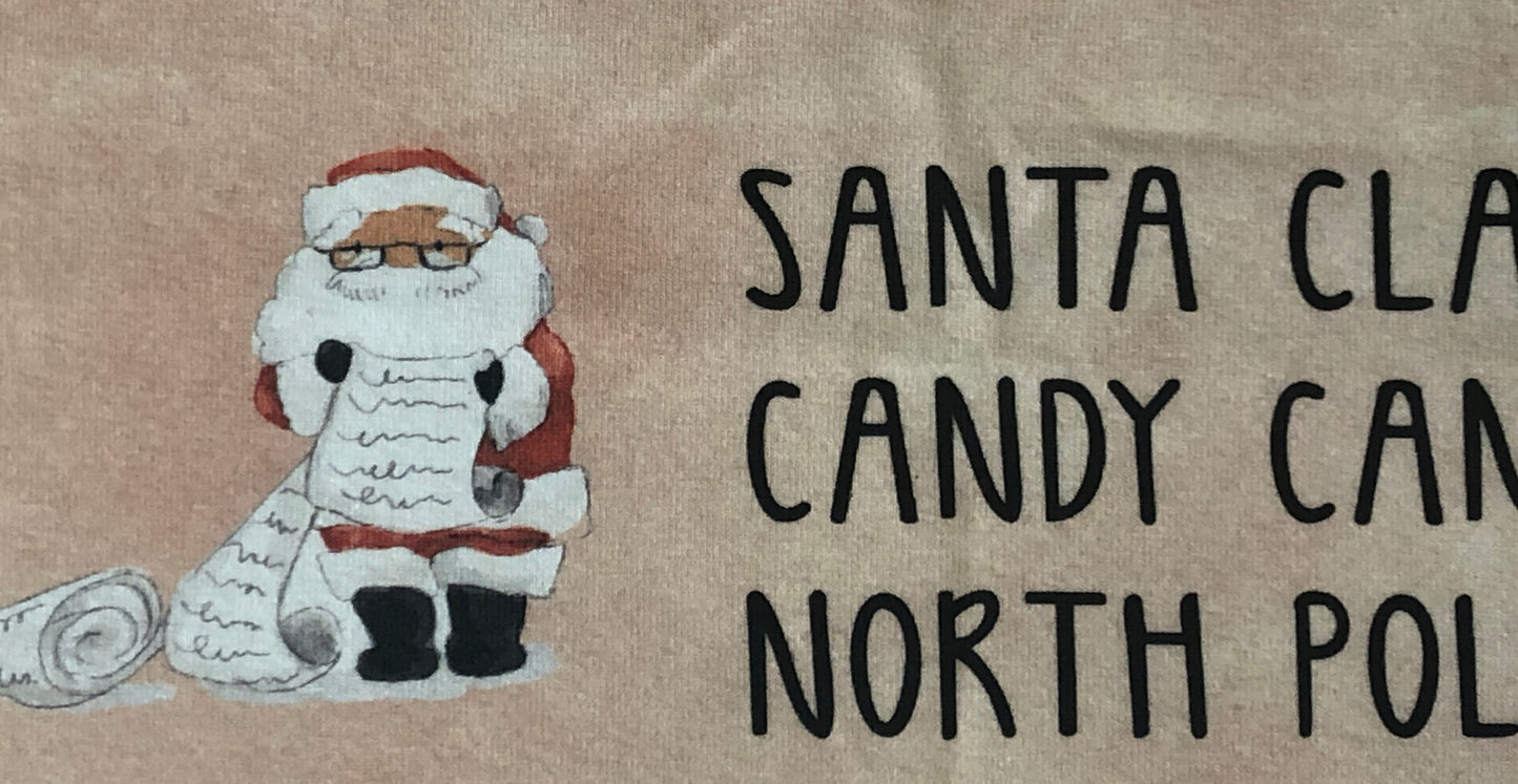 Letter to Santa Pillow Large Panel